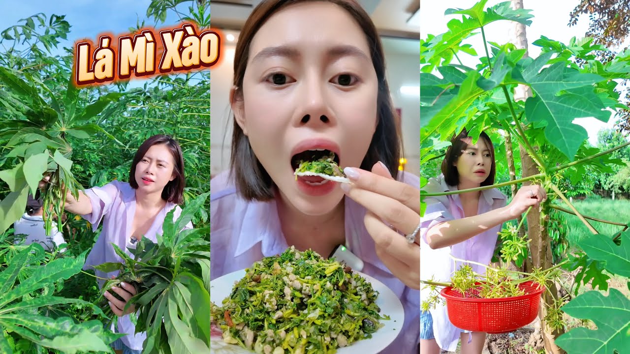 Đi Hái Lá Mì Làm Món Ăn Tuổi Thơ - ĐẶC SẢN TÂY NGUYÊN