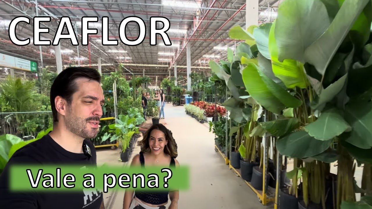 Ceaflor / Tour Casa  - Diário de Obra 60 - Mateus e Bia