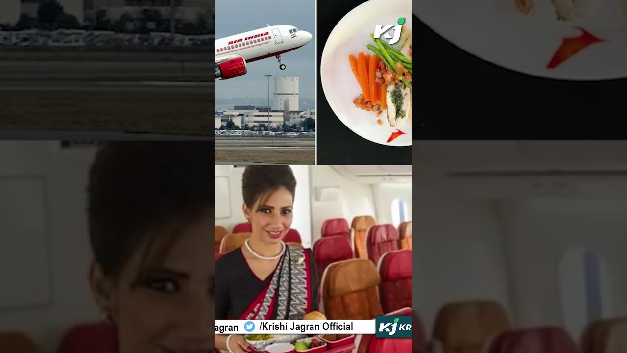 Air India's New Menu: Healthy & Gourmet Meals Now Available Onboard