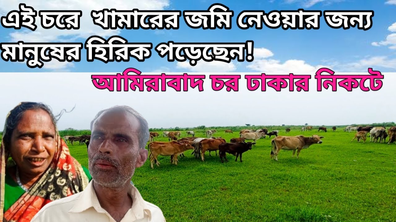 ঢাকার নিকটে উঁচু জমি বিদ্যুৎ আছে রাস্তা আছে শত শত পতিত জমি নিয়ে বাড়িও গরুর খামার করার উপযোগী!village