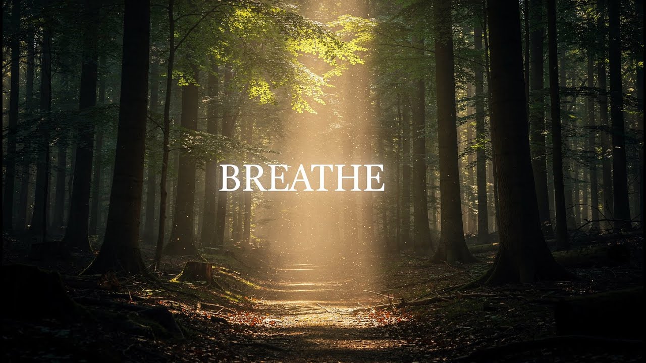 BREATHE 🌿 Deep Calm Forest Music for Stress Relief, Anxiety & Relaxation