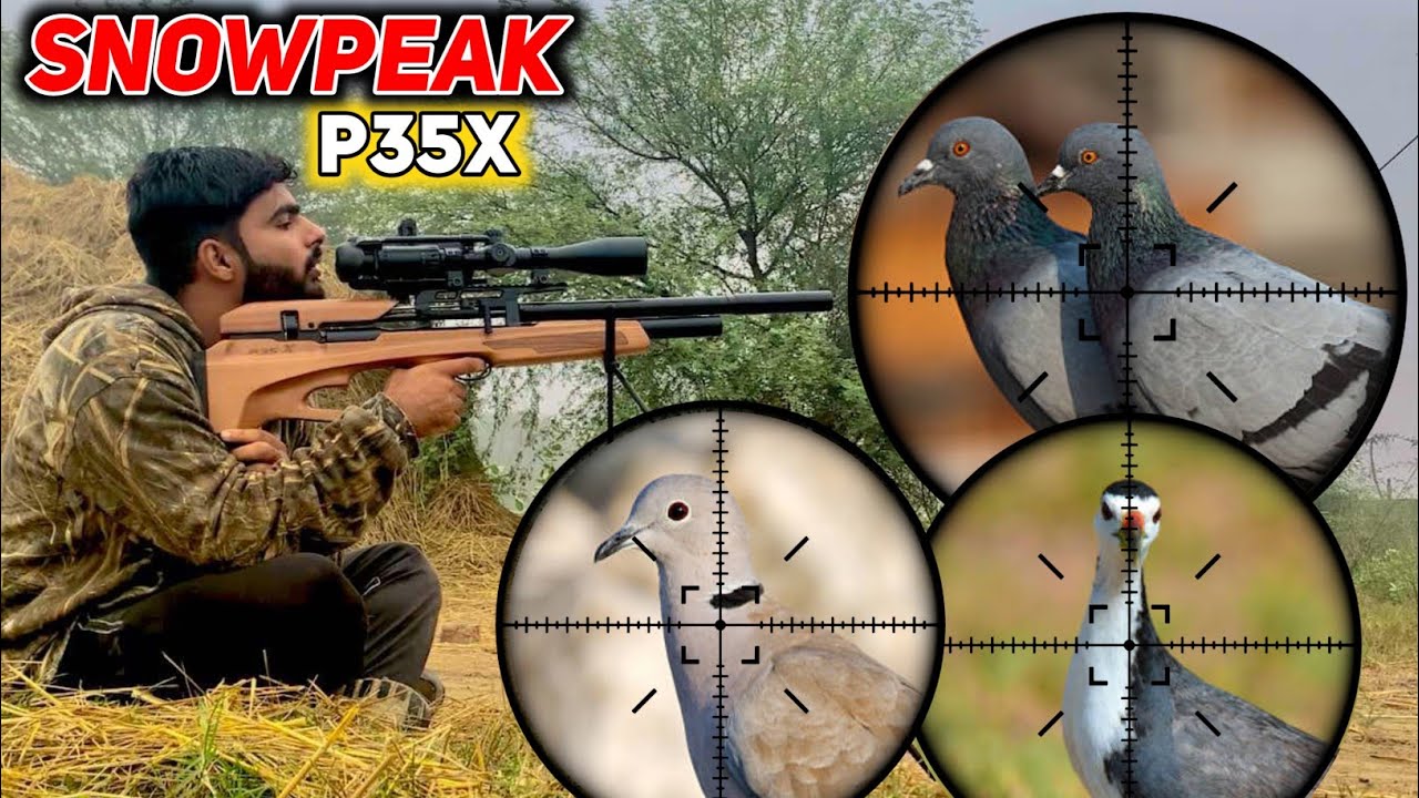 Extreme Bird Hunting With Snowpeak Airgun P35X|Hunting Season 2024-25|AirHunter PK