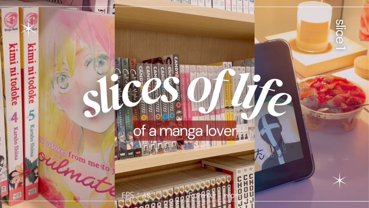 ⋆౨ৎ˚˖ ࣪  a relaxing vlog: manga shopping, hauls, reading, and more 🌺⋆✴︎˚｡⋆
