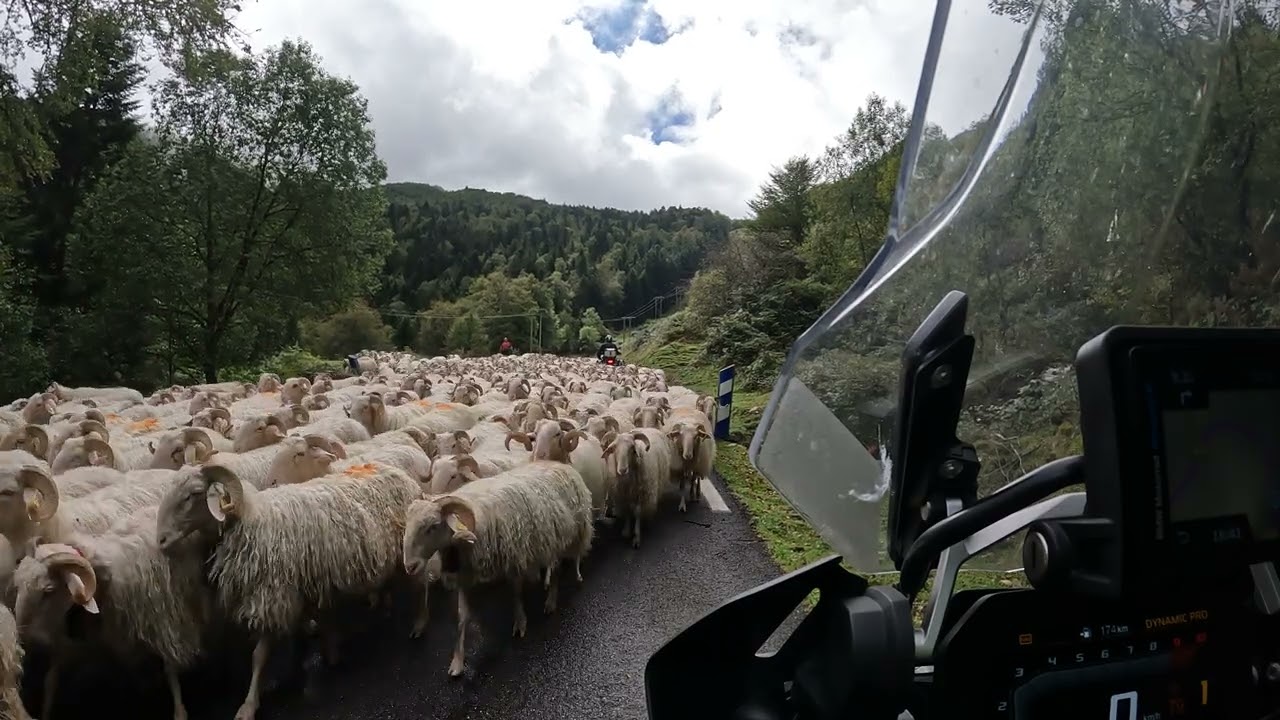 Pyrenees 2023 - D132