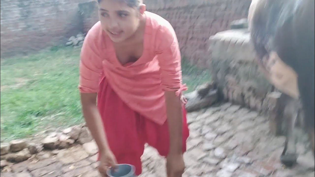 dekhiae hamari gulabo kitni Sundar hai