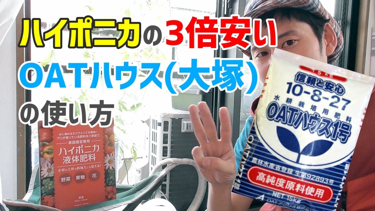 【大容量】ハイポニカより3倍安い液肥、OAT(大塚)ハウスの使い方