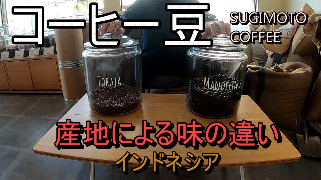 【コーヒー豆】産地による味の違い～インドネシア