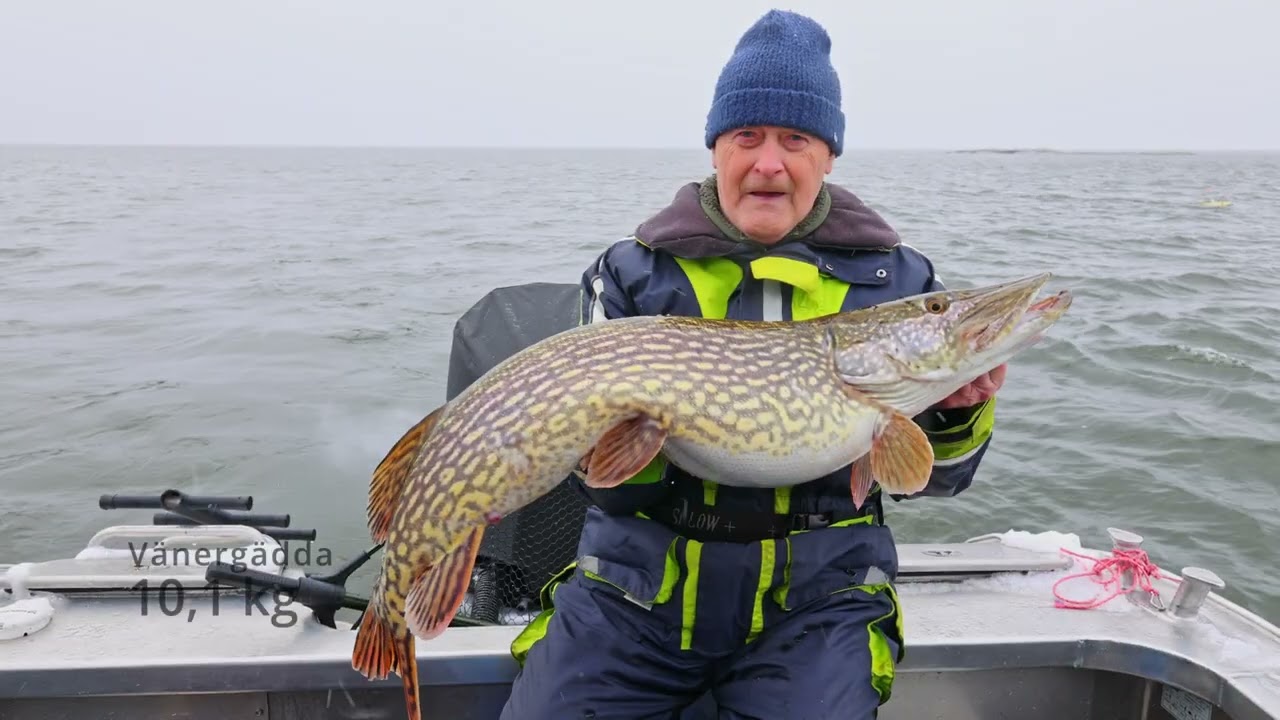 Guidat fiskeäventyr på Vänern – En oförglömlig upplevelse