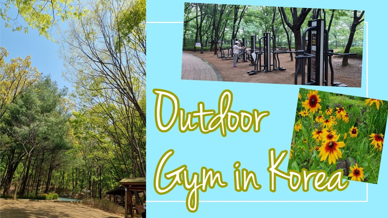 Outdoor Gym in Korea!