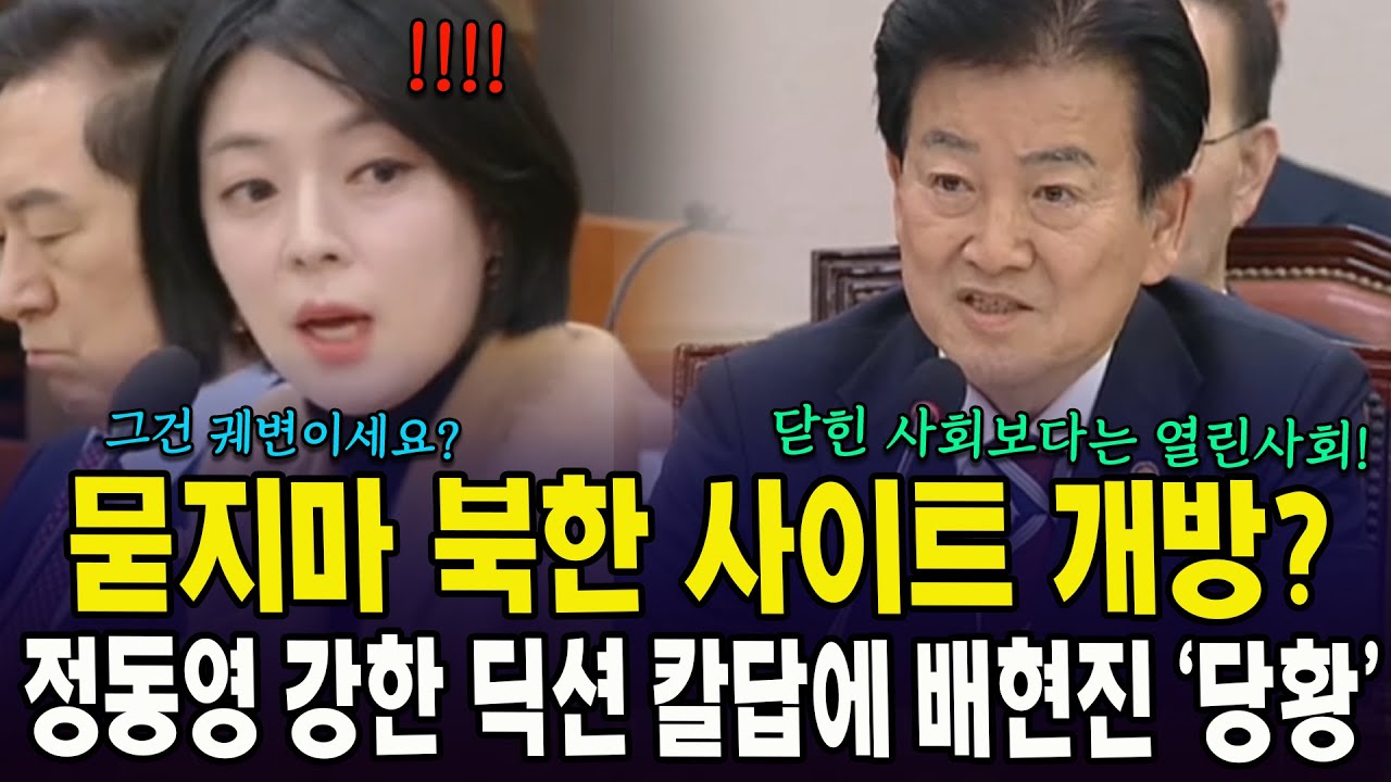 묻지마 북한 사이트 개방?...정동영 강한 딕션 칼답에 배현진 '당황'