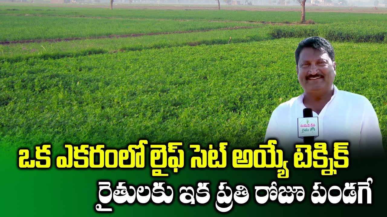 Earn High Profits in Different Types of Farming in 1 Acre || Farmer Success Story || SumanTV Rythu