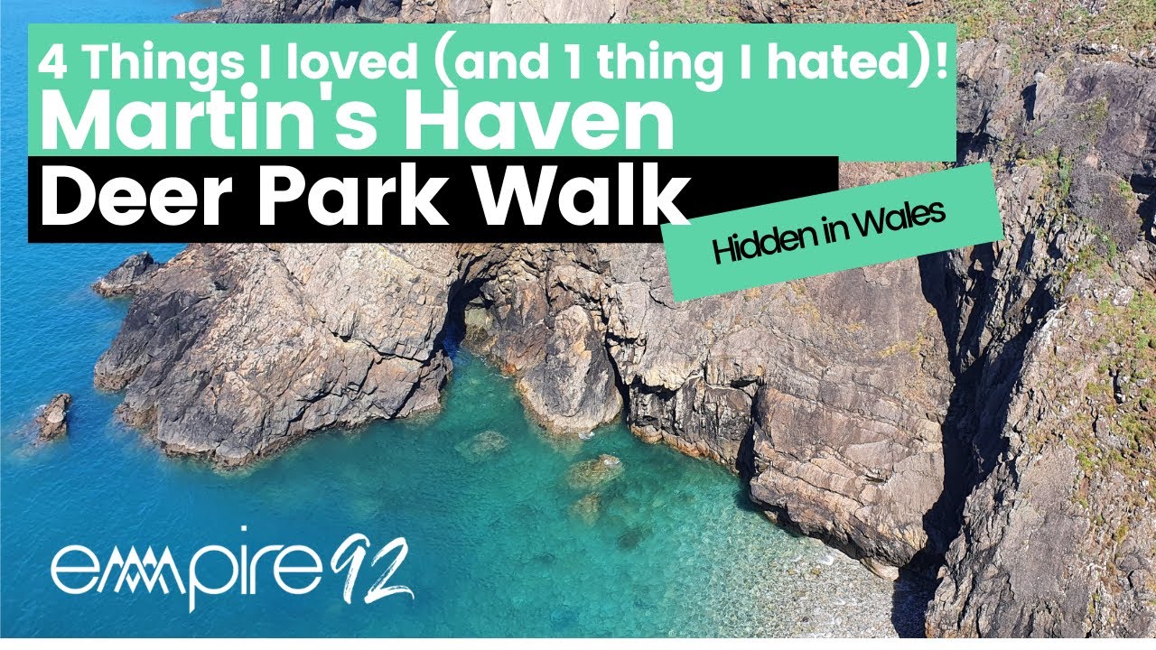 Martin's Haven, near Skomer Island Video | 4 things I loved (and one thing I hated!)