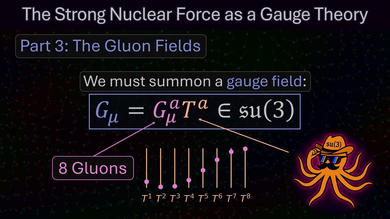 The Strong Nuclear Force as a Gauge Theory, Part 3: The Gluon Fields