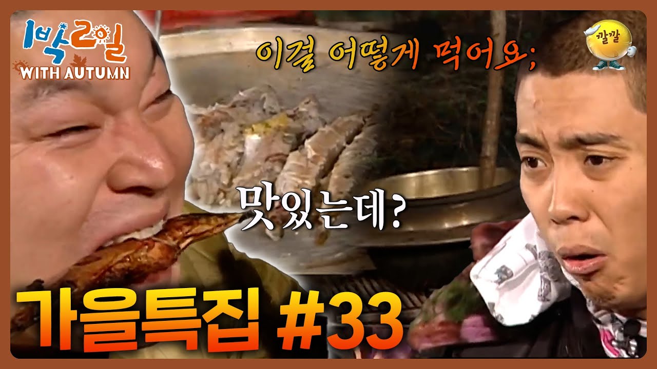 [1박2일 with Autumn #33] 그거 옻나무 아니냐? 나무 카레라이스와 우산 살 양미리 구이 #이수근 #강호동 #은지원ㅣKBS 방송