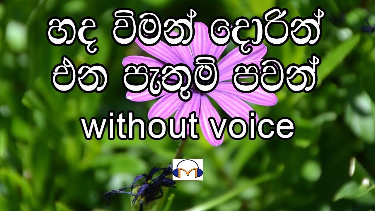 Hada Viman Dorin Karaoke (without voice) හද විමන් දොරින්