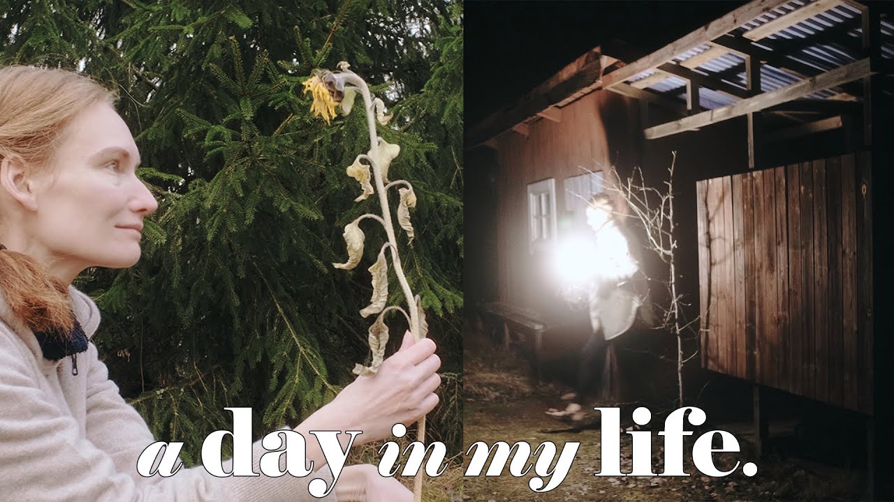 ONE DAY Rural Life Without A Car, Renovating and Food Shopping | almost ASMR (Story 37)