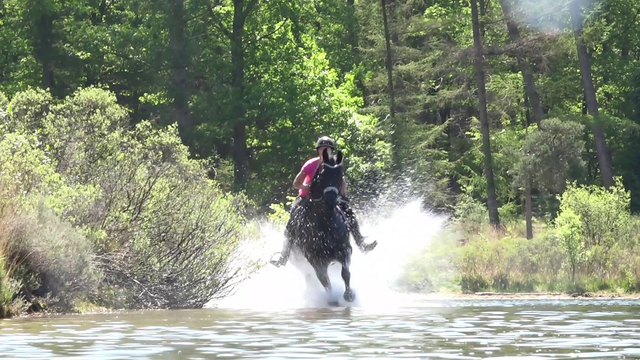 Petra Yldau in het water movie