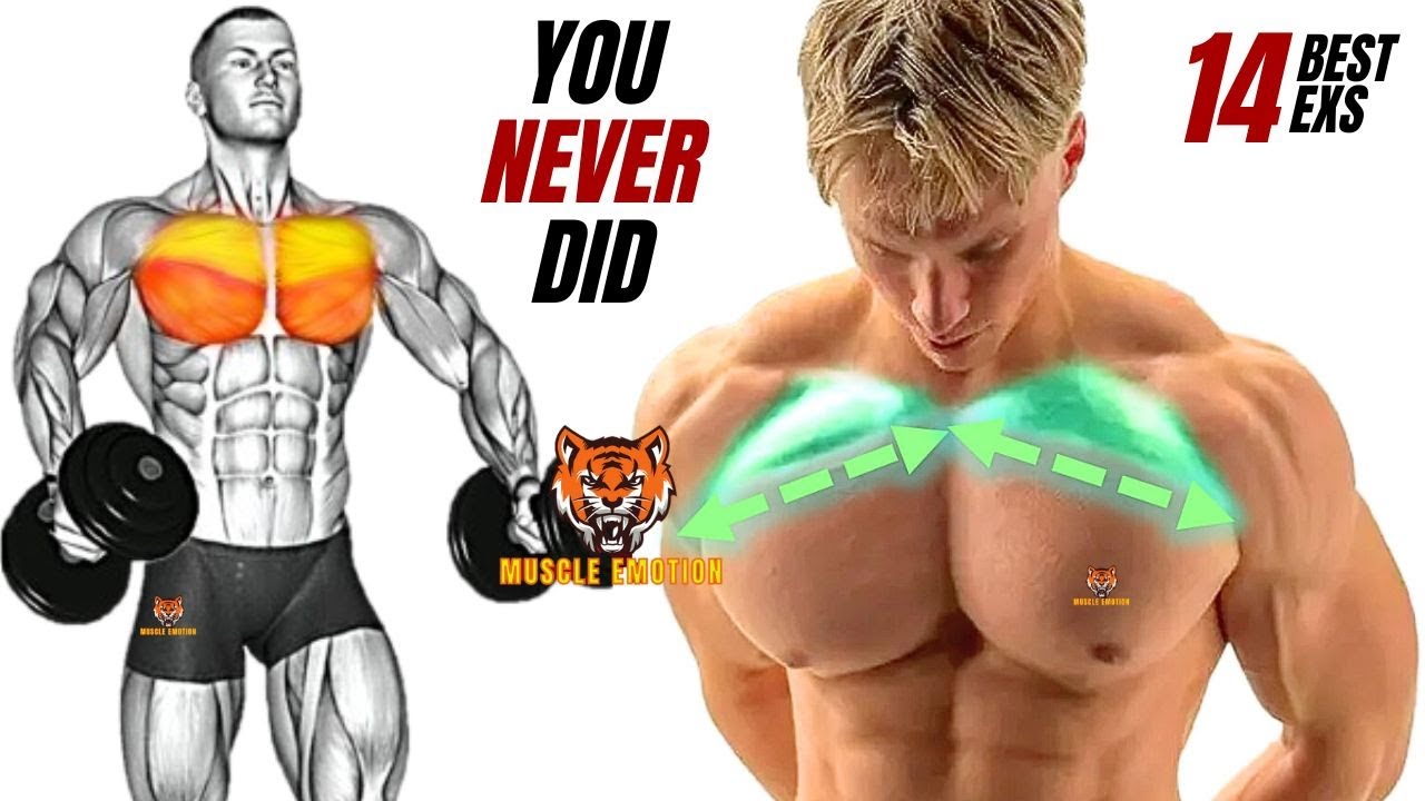 14 best upper chest workout with DUMBBELLS only that you never did at gym