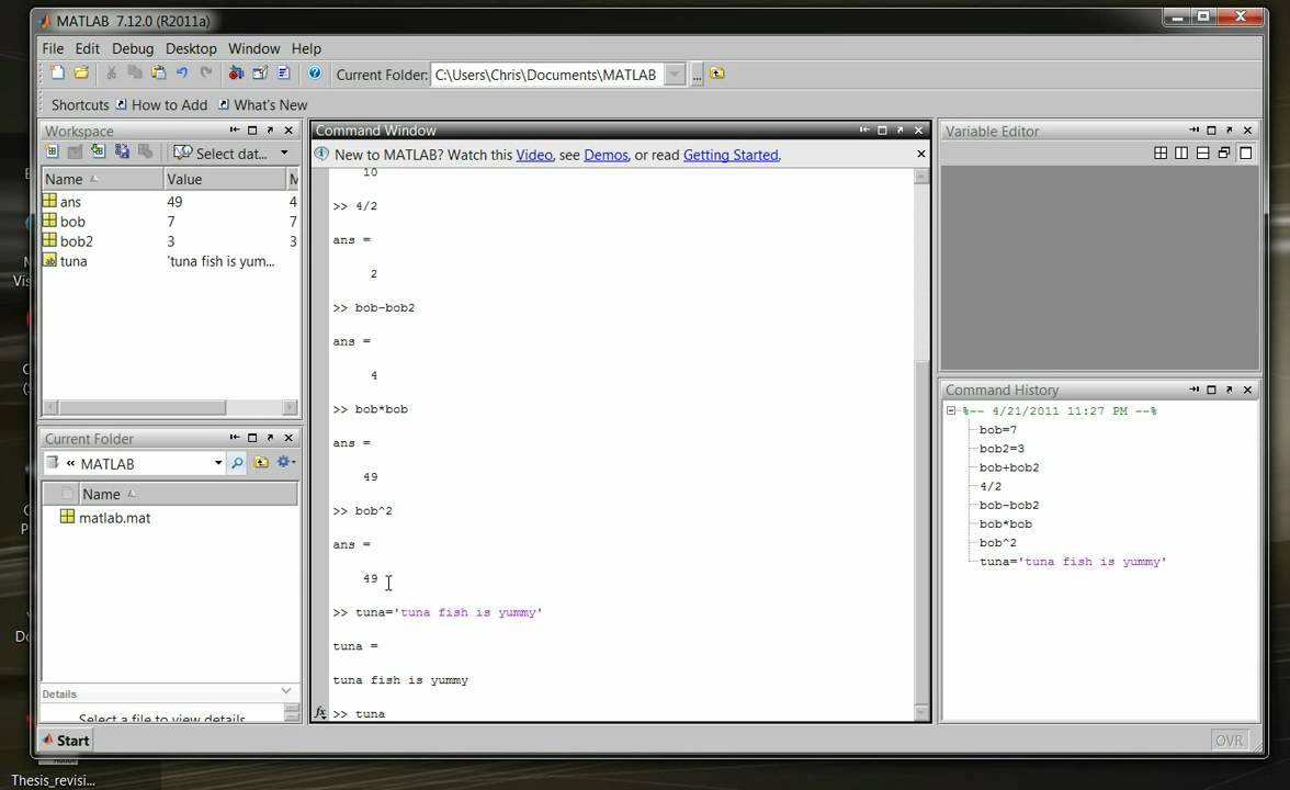 MATLAB Tutorial 2 - MATLAB Variables