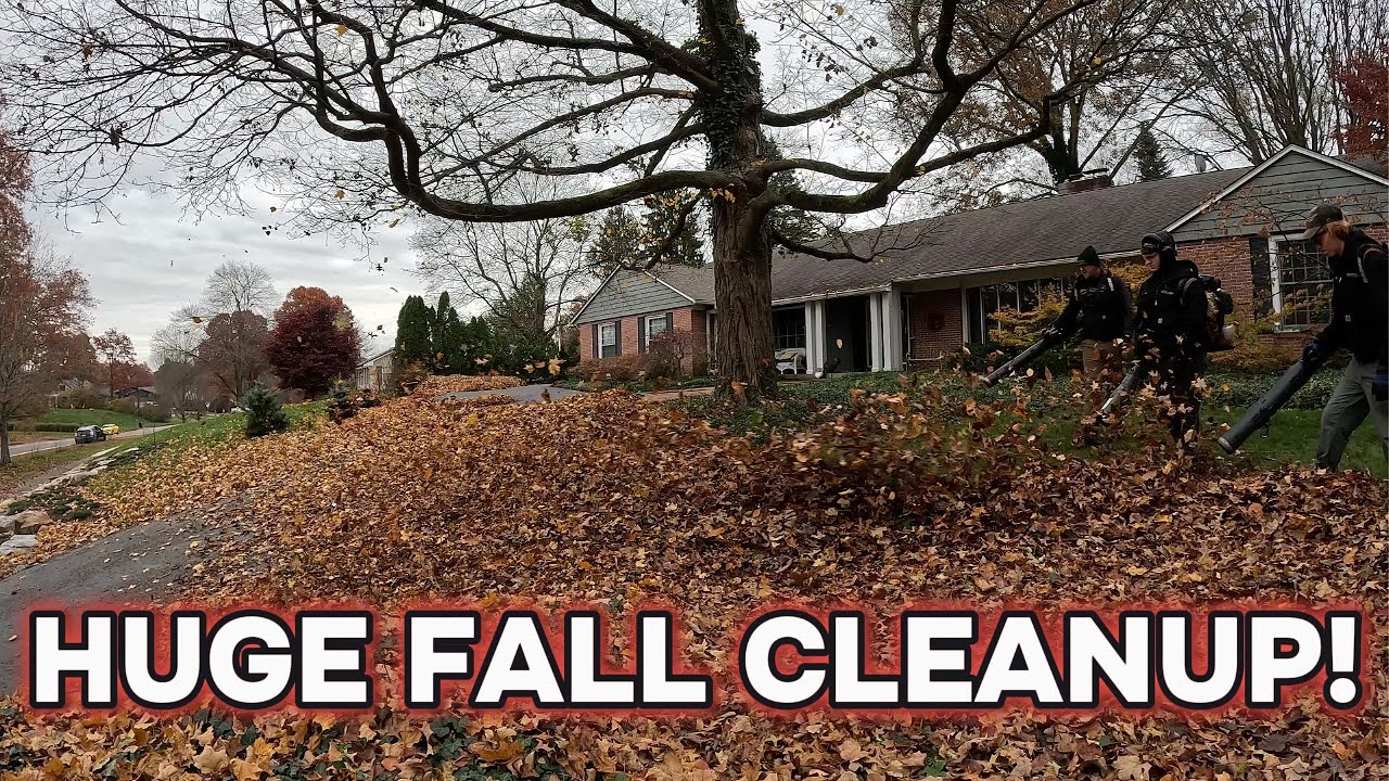 Fall Leaf Cleanup || 3 Man Team Tackles This HUGE Cleanup!