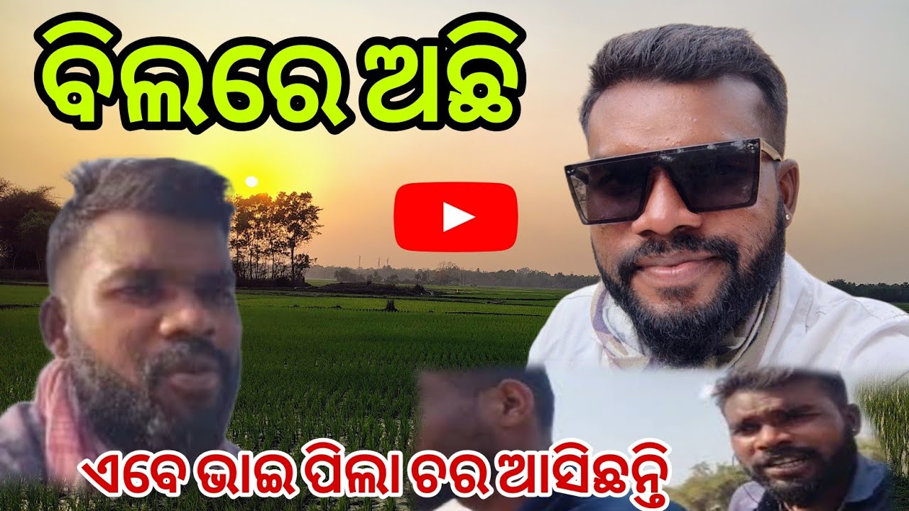 ବିଲରେ ଅଛି//ଆମ ଗାଁ କୁ ଏବେ ଭାଇ ପିଲା ଚର ଆସିଛନ୍ତି//odia vlogs||vlogger video||@SatrughnaOdiavlogs 