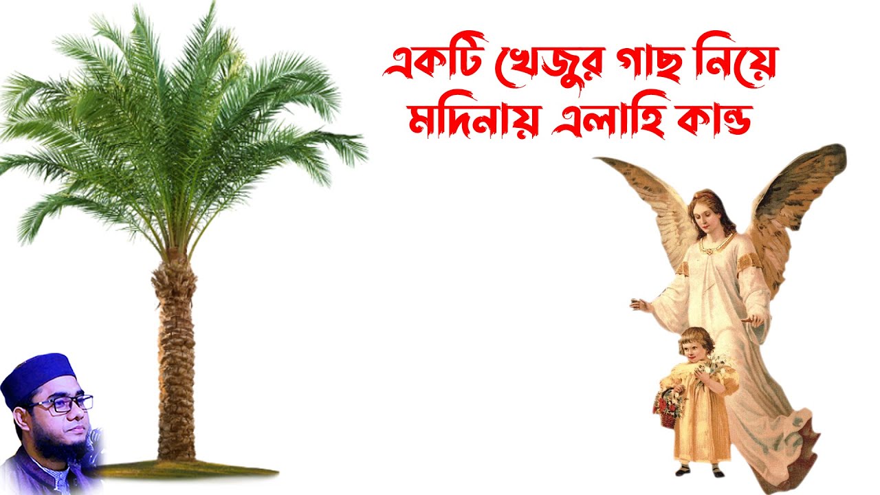 Mufti shahidur rahman waz | Mufti Shahidur Rahman Mahmudabadi | Mahmudabadi Waz - এতিমের খেজুর গাছ