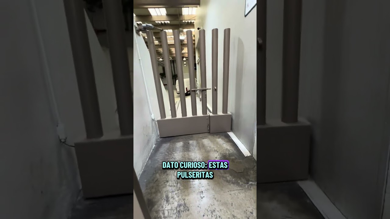 Auditorio Nacional por dentro! Conócelo junto conmigo 