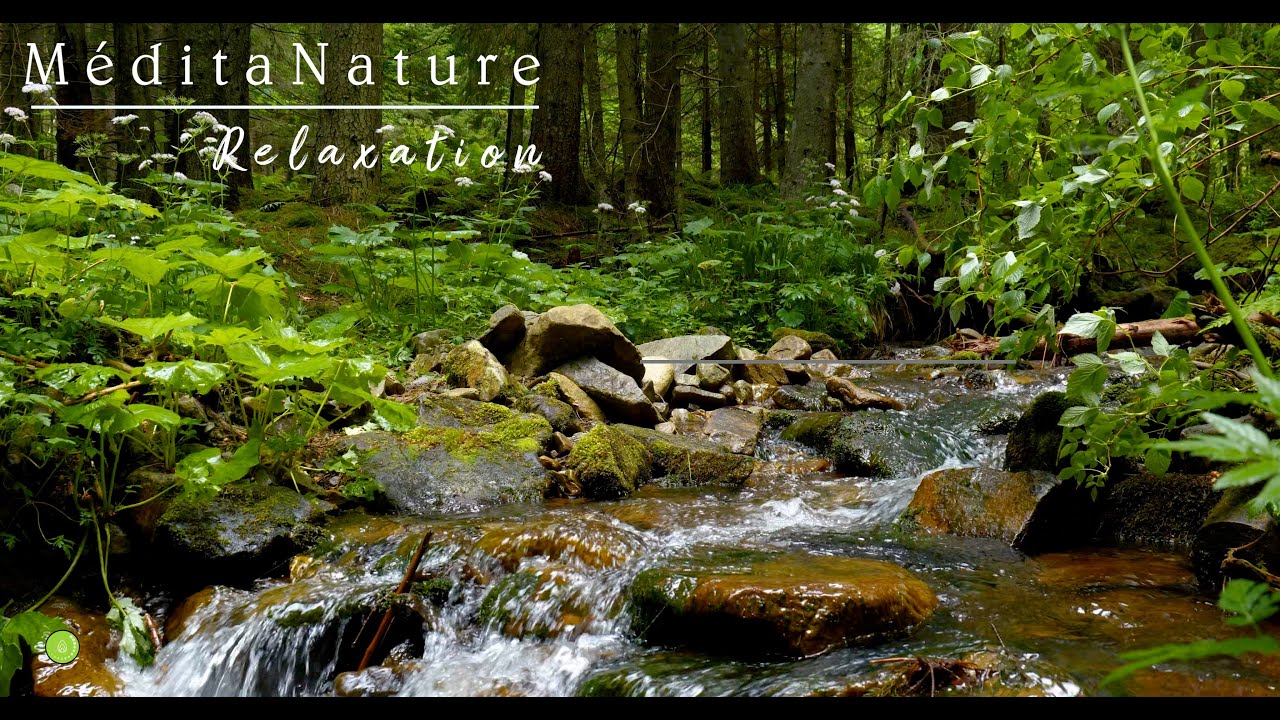 Bruit de la Nature .Rivière Relaxante qui coule et chant des oiseaux. Relaxation Méditation