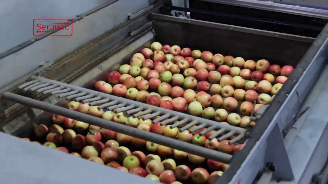 Processing Lines - Gobbi's Apple | Linee di Lavorazione - Mele Gobbi