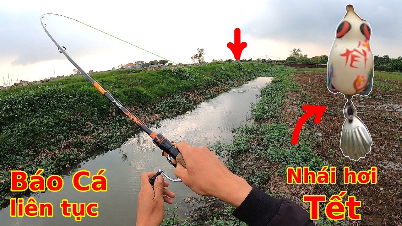 Test nhái hơi mới, phát hiện điểm câu toàn Hàng Khủng