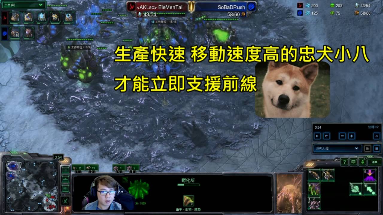 【SoBaD星海教學-蟲族戰術2】蟲族蟑螂狗一波教學