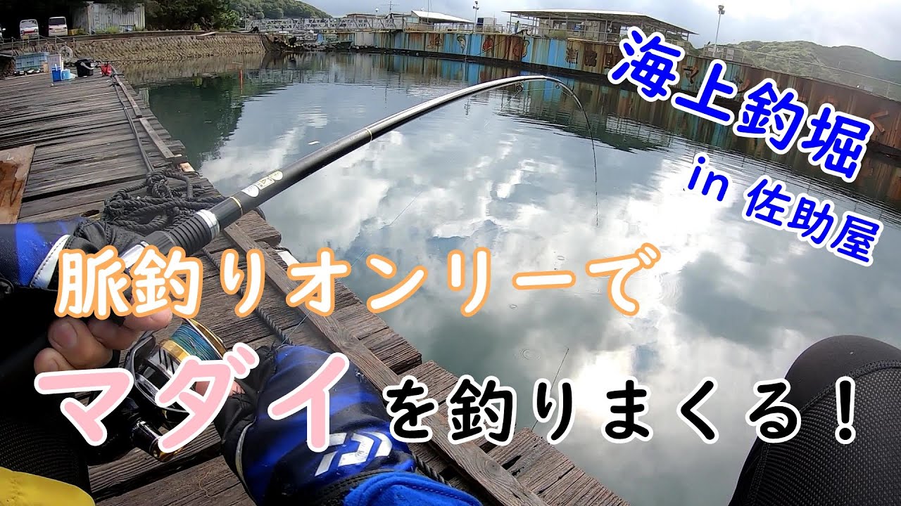 脈釣りで攻める釣堀のマダイ！多様なアタリを見極める