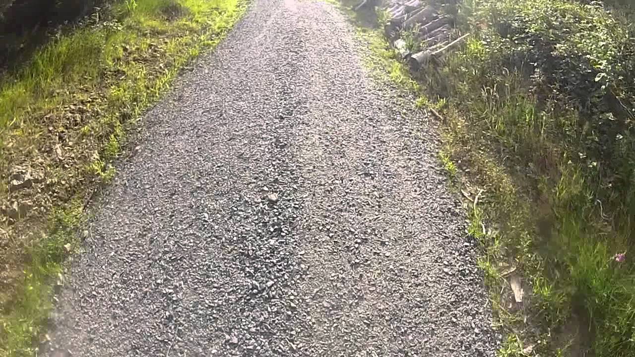 Vom Farrenkopf nach Hausach