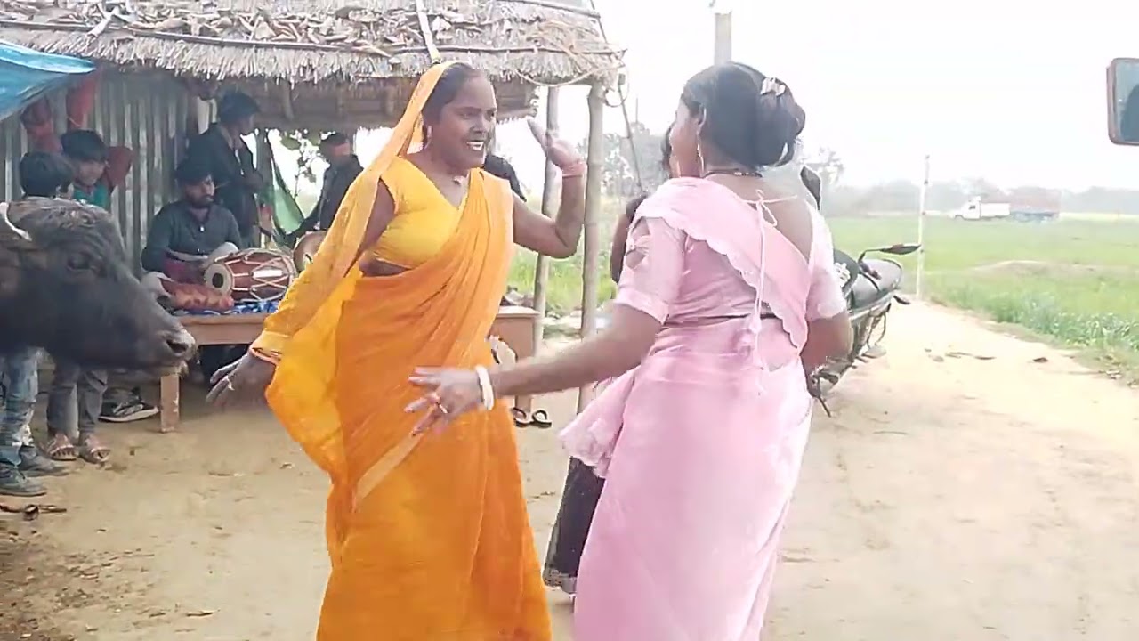 हारमोनियम ढोलक डांस