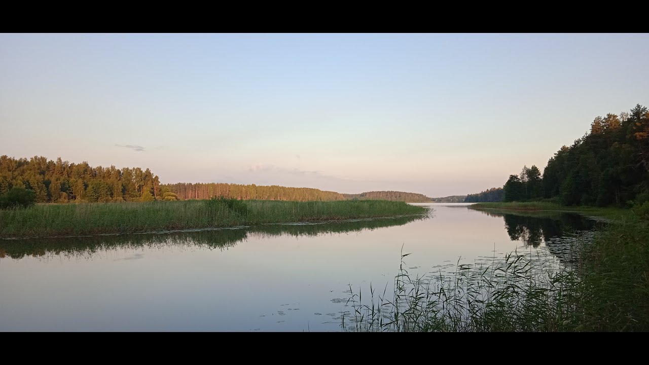 р Желча