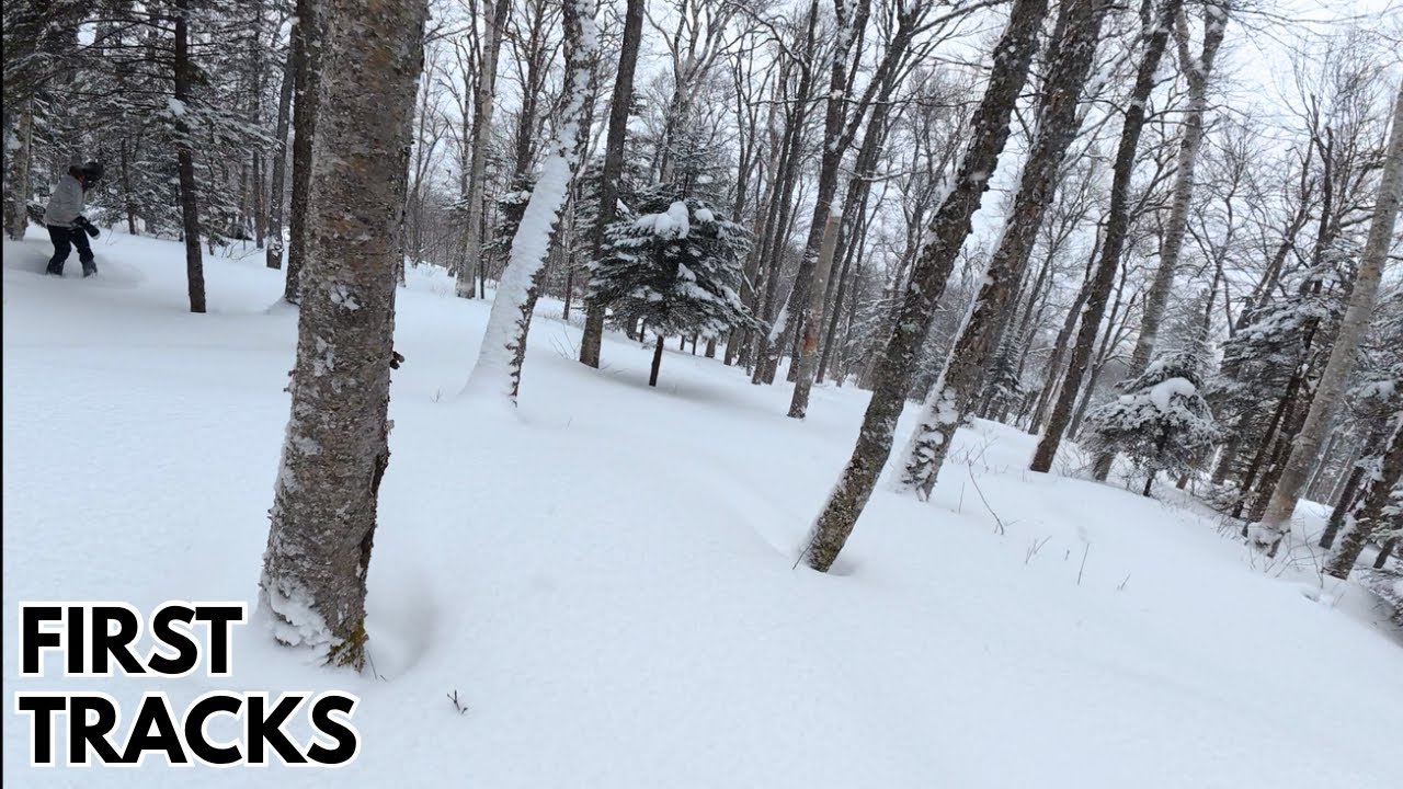 Vermont Fluffy Powder in Open Trees - Winter Storm Fern Snowboarding Raw POV