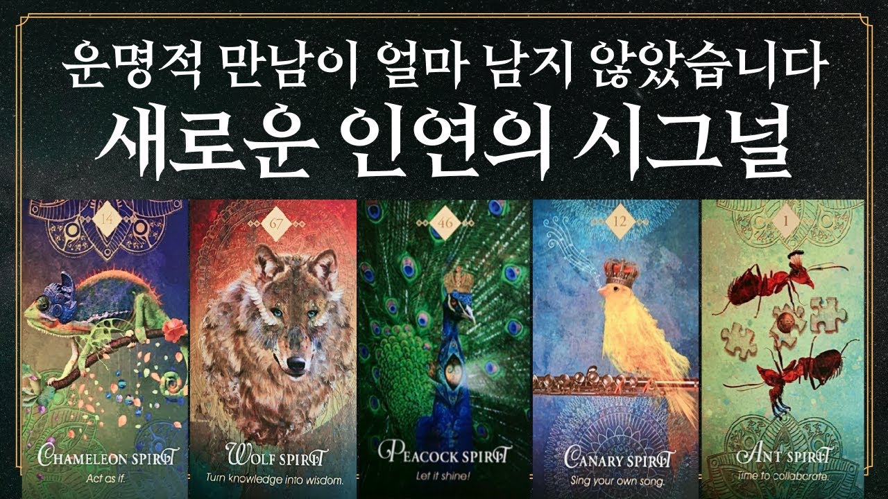 [타로] 이제 진짜 나만의 새로운 인연이 옵니다!