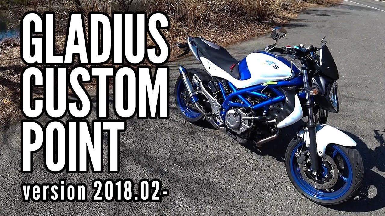 GLADIUS CUSTOM POINT 2018.02- ver.