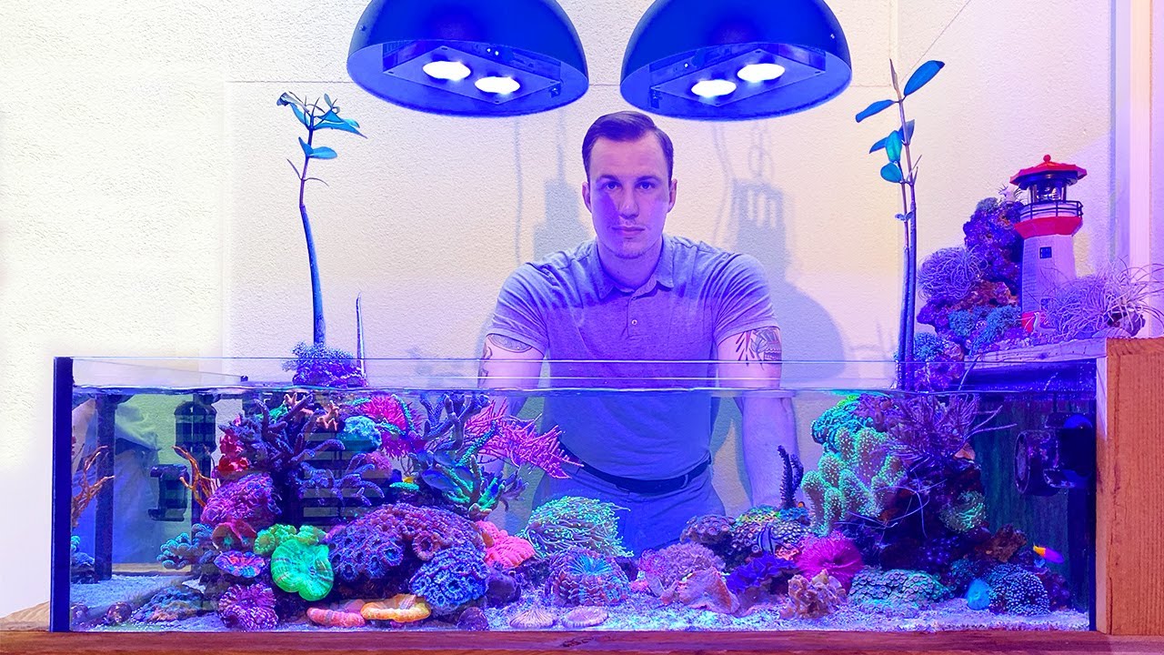 REEF TANK TOURS - 