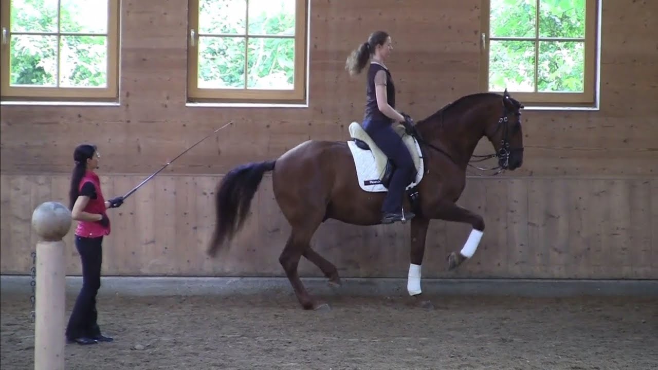 Workshop 2015 with Anja Beran: &bdquo;Descente de main&ldquo; in the piaffe