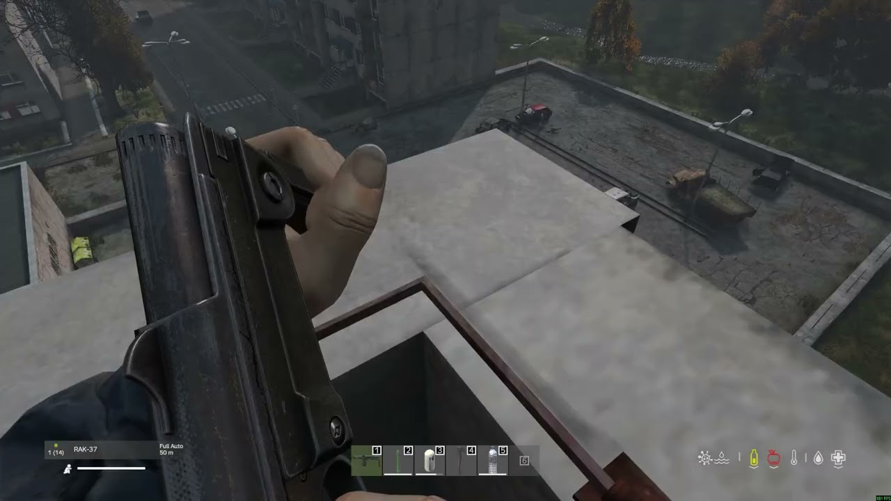 dayz