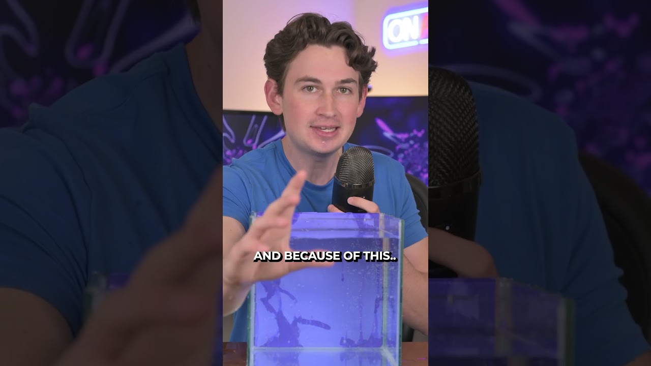 This is Why Your Skin Wrinkles in Water.. 😳 #shorts