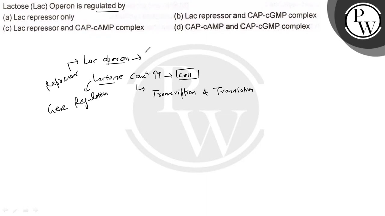 Lactose (Lac) Operon is regulated by (a) Lac repressor only (b) Lac repressor and CAP-cGMP compl...