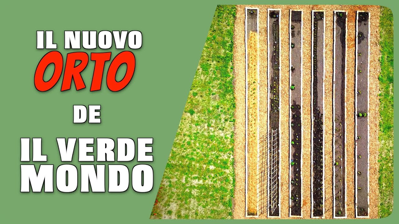 Tecnica della Non Lavorazione: il nostro nuovo orto