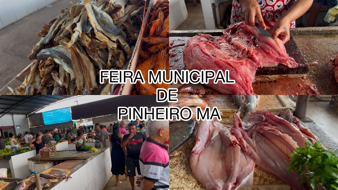 FEIRA MUNICIPAL DE PINHEIRO NO MARANH&Atilde;O | BAIXADA