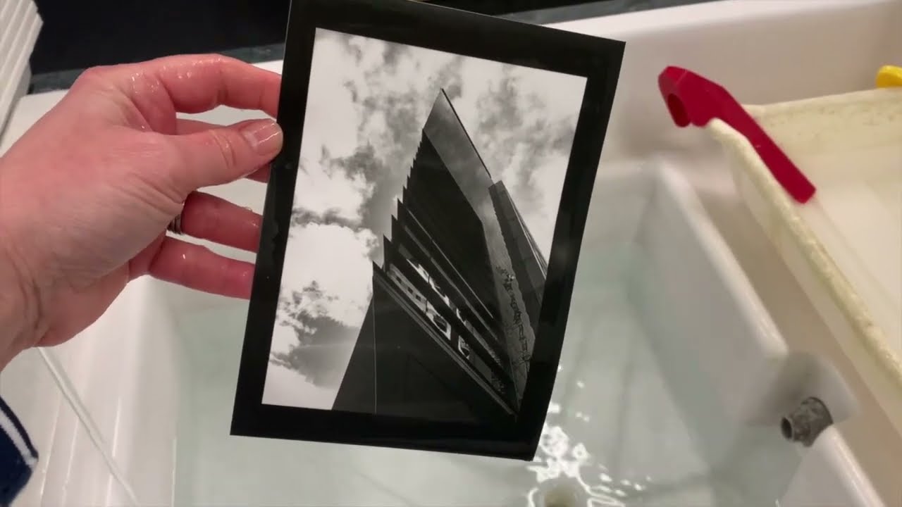 digital negative contact printing