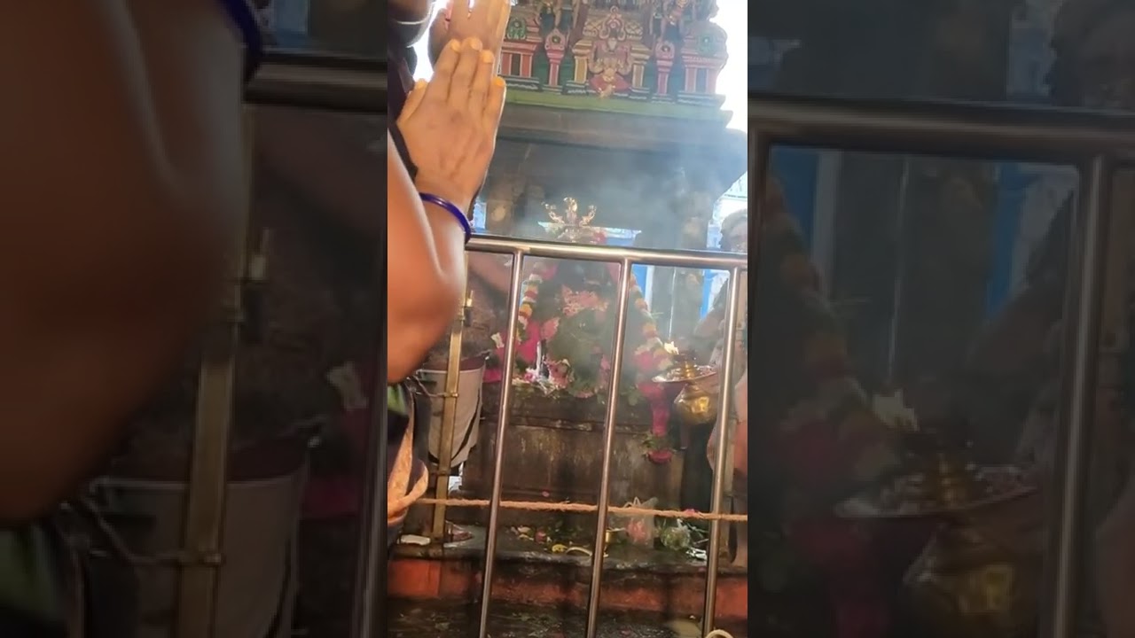 Mylapore, Kapaleeswarar Temple , Pradosham #mylapore #temple #kapaleeswarar #thirumylaisstar #shiva