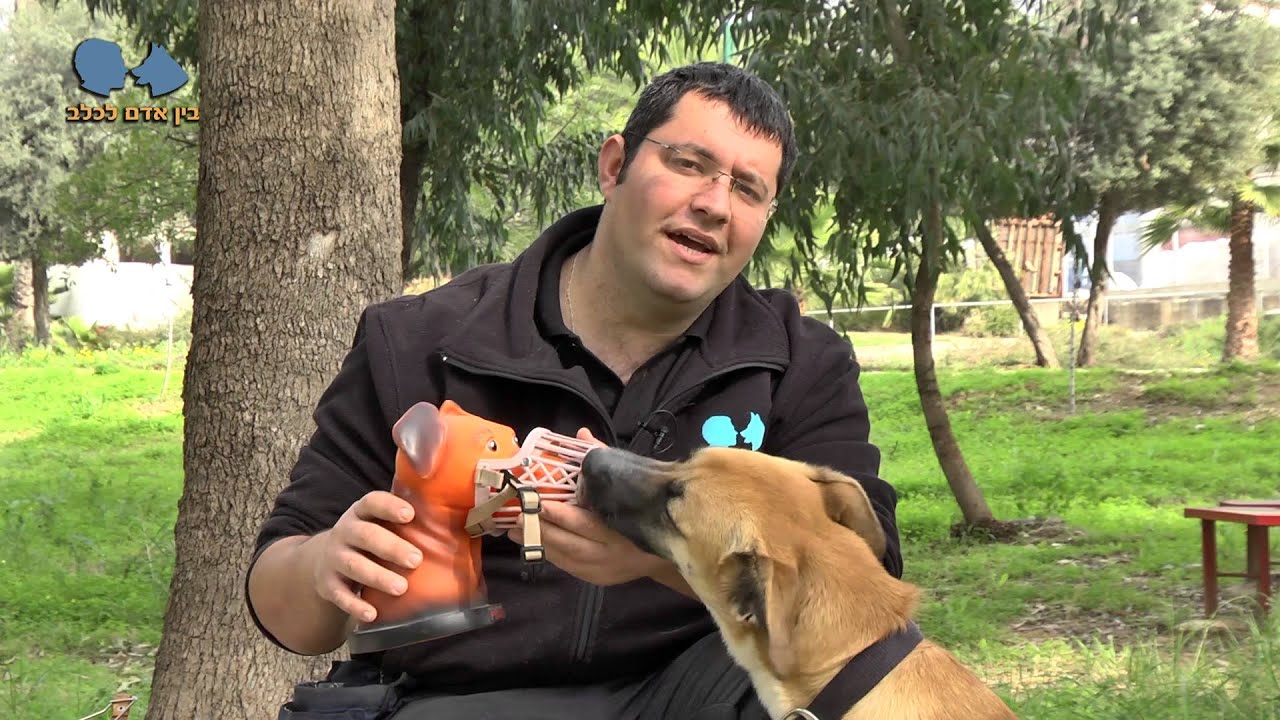 אילוף כלבים  למחסום פה