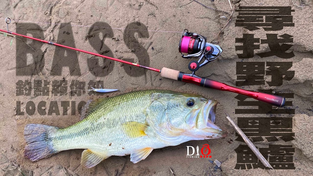 探索✅釣點－七堵尋找野生黑鱸（第一部 ）米諾．軟蟲 🐟 Shimano WORLD SHAULA Technical Edition S66L-2/MD 🐟  DIO魚Fishing
