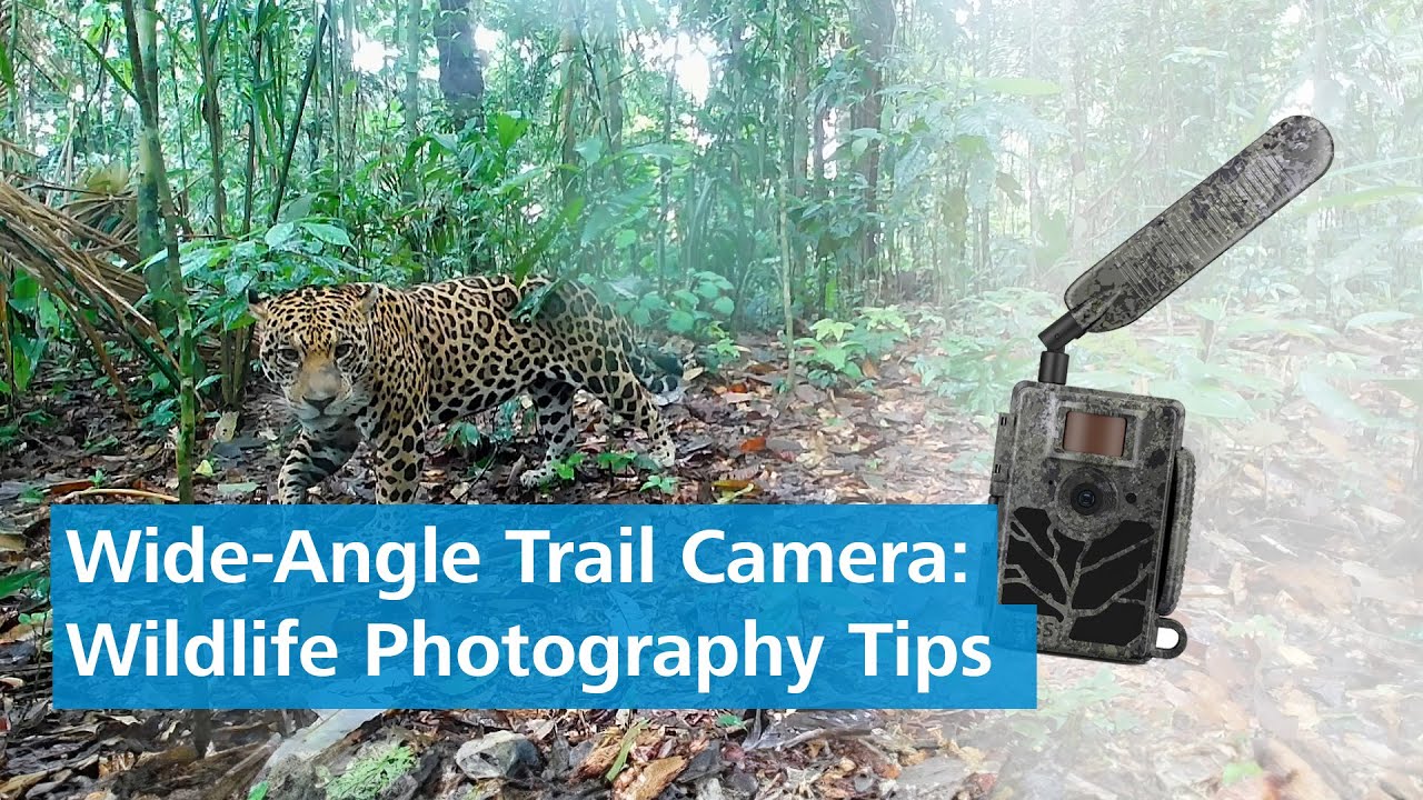 ZEISS Secacam 5 Wide-Angle - Q&A with Wildlife Photographer Javier